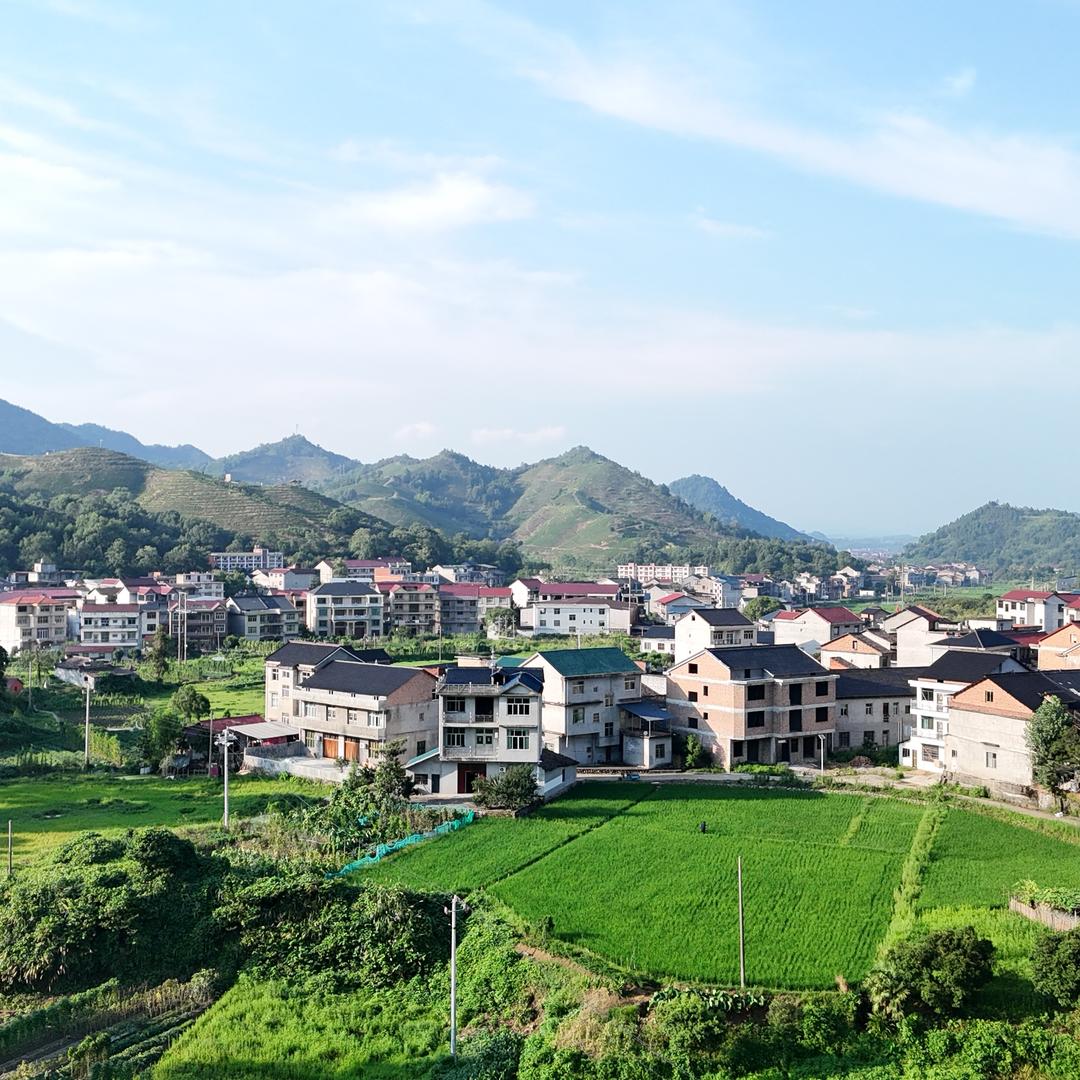 洋塘“六尺巷”毛伟民