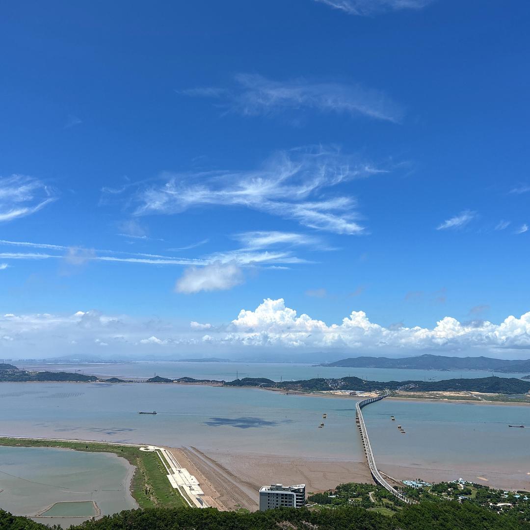 章鱼小丸子