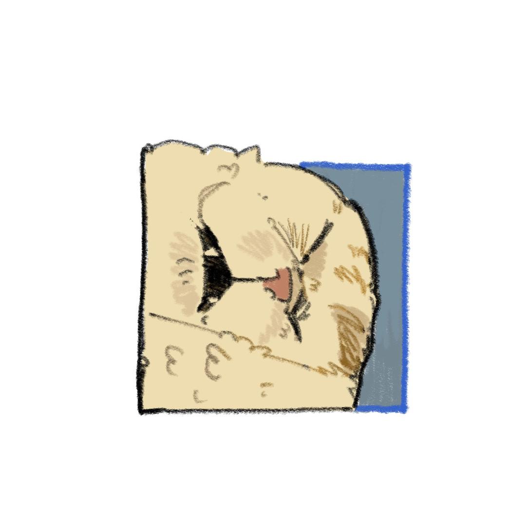 ｉｃｅ