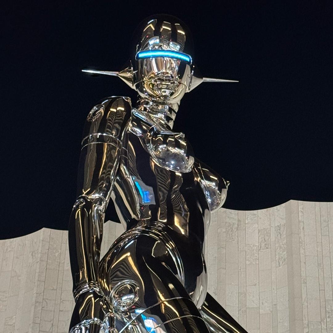 调皮的粘人小喵