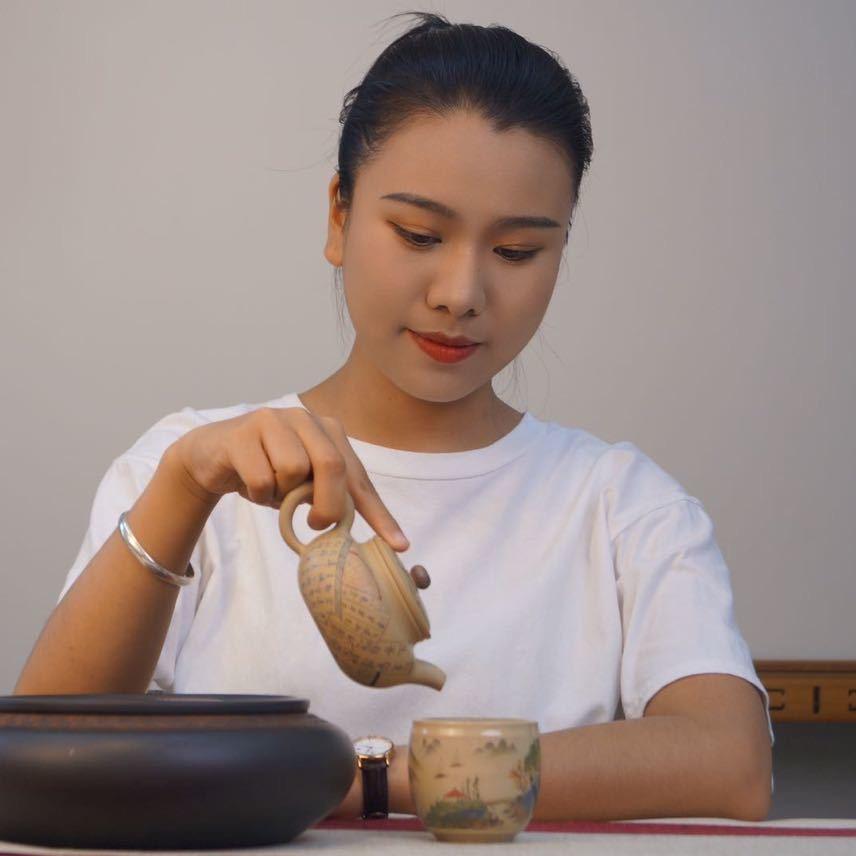 星月玩壶建水紫陶
