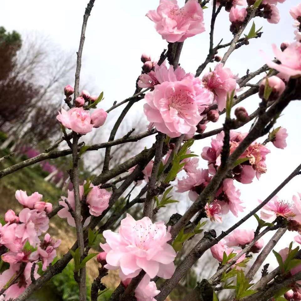 坚强背后有彩虹