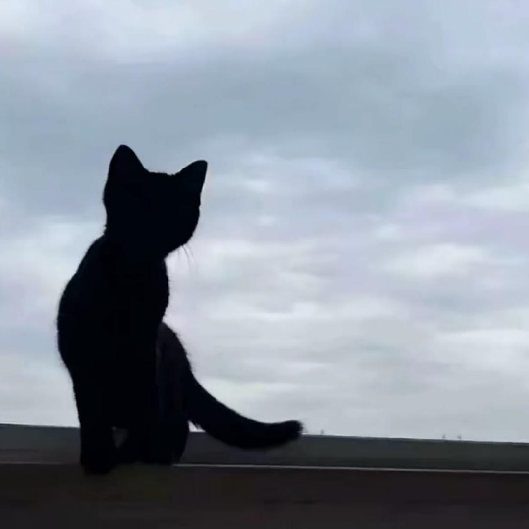 嗯呢