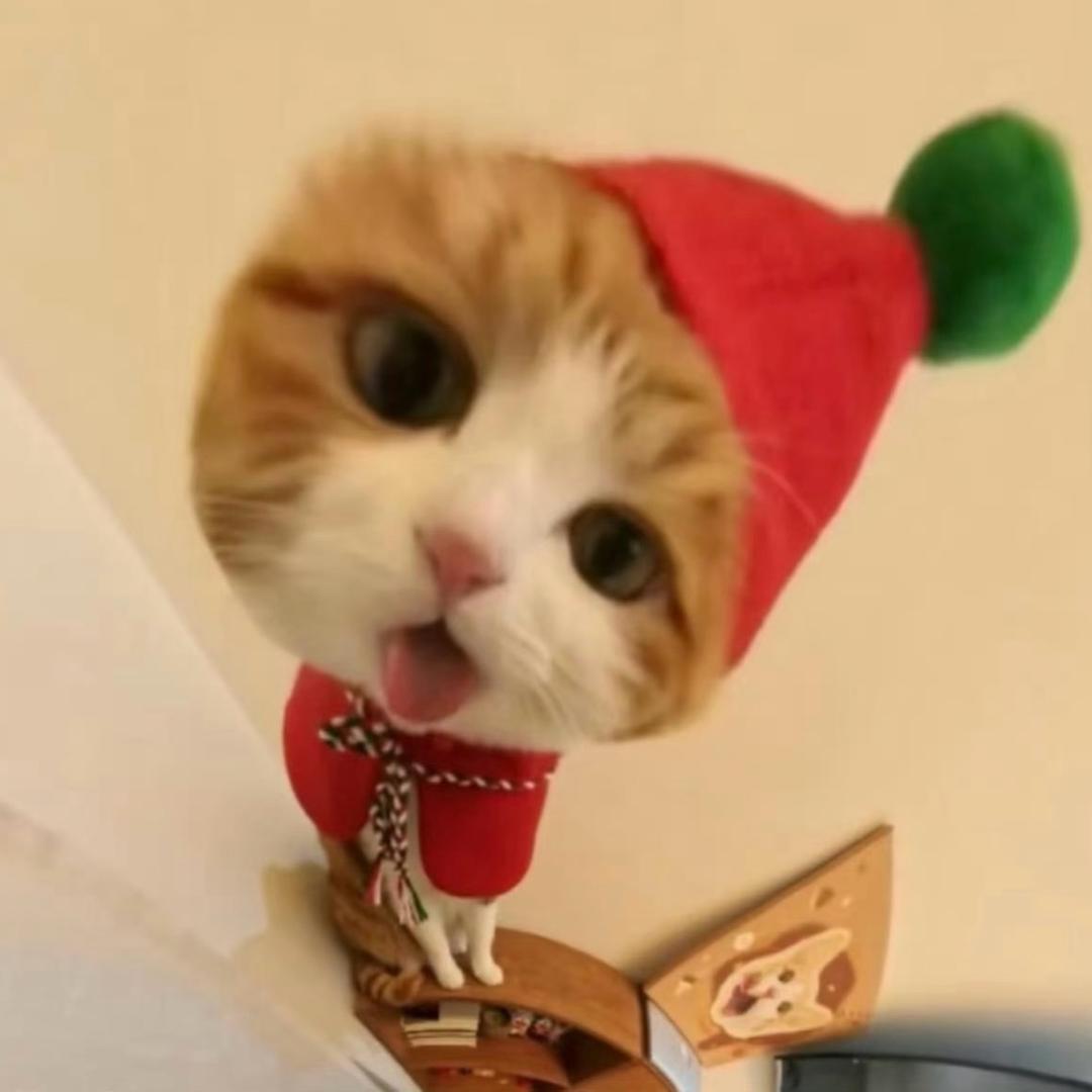 是颗煤球