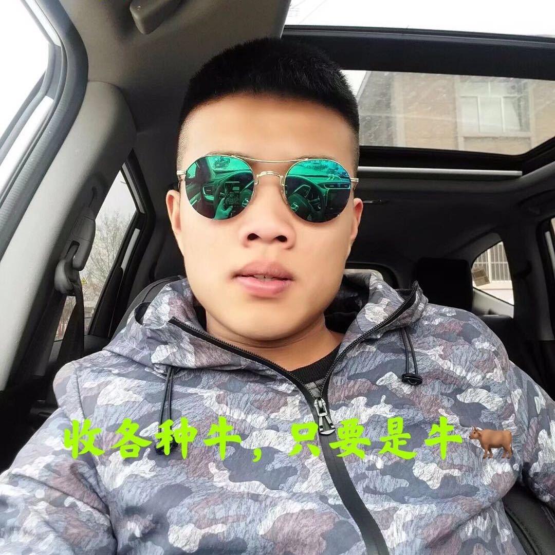 阿凡提的坐骑