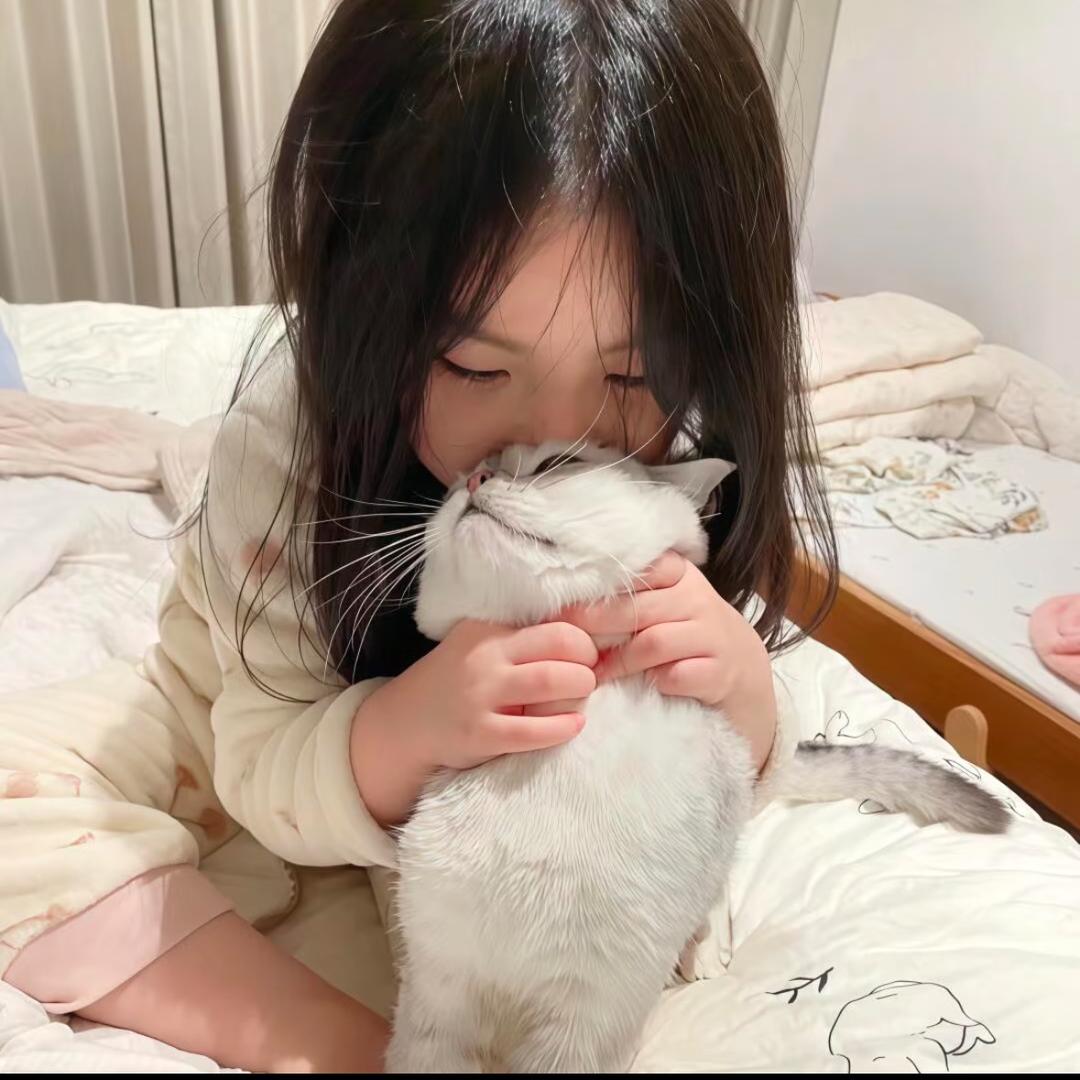 hi 雨雪霏霏