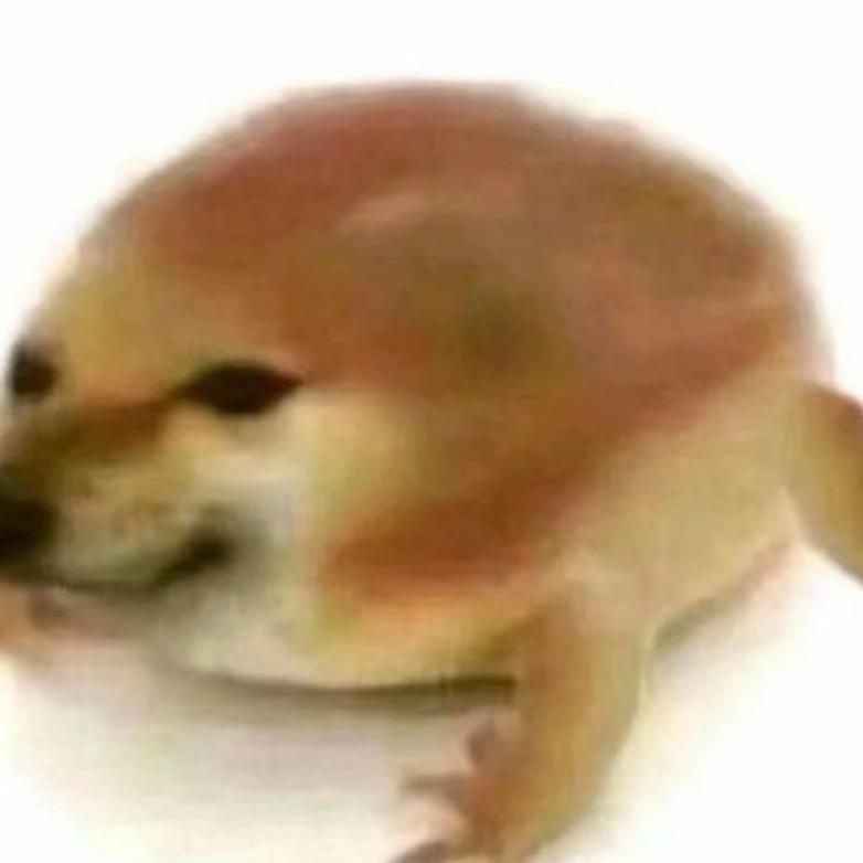 一只狗蛙（世一蛙）