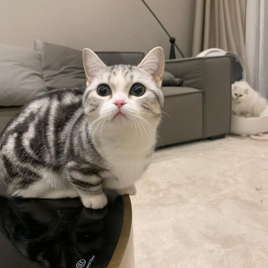 。。