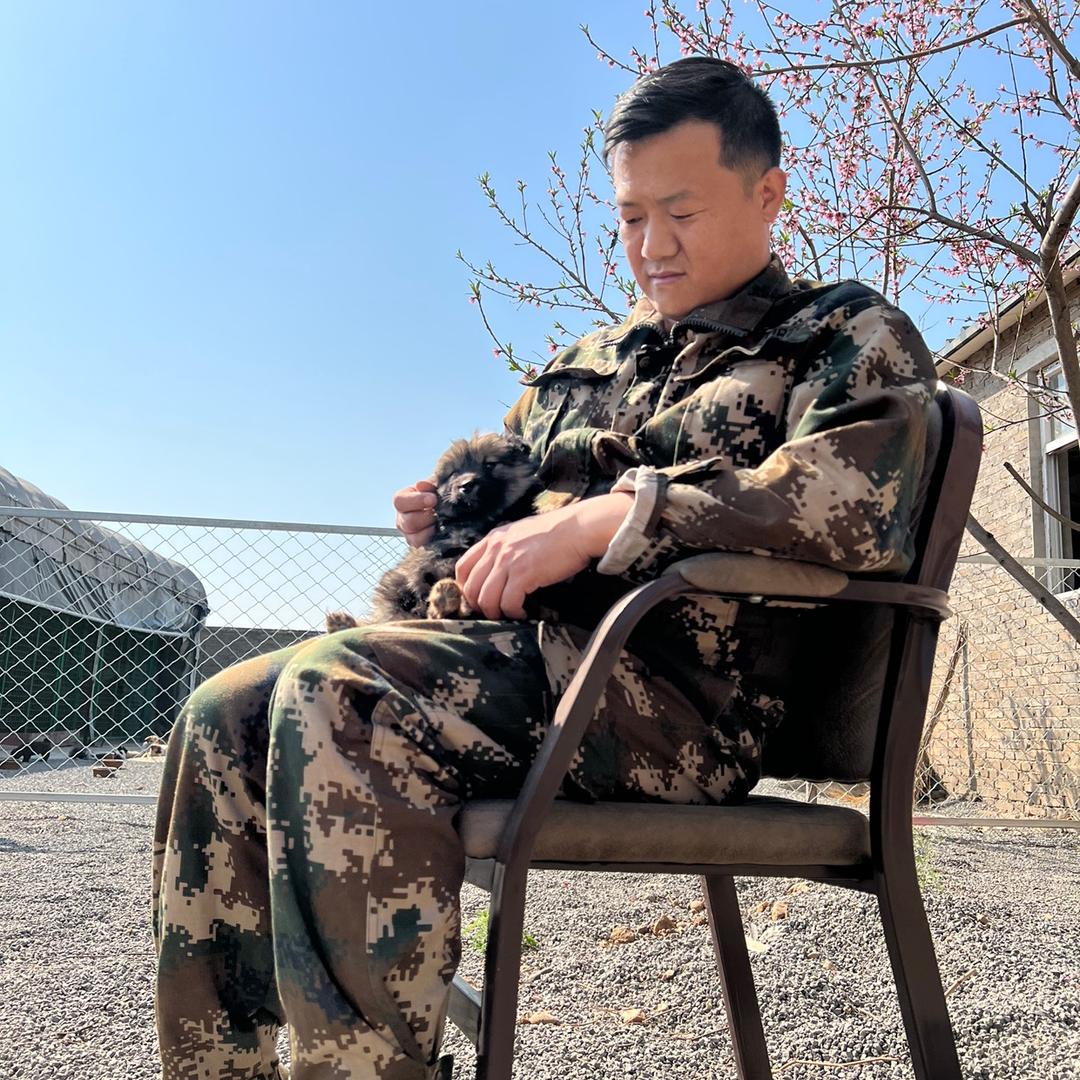 老罗与毛孩子们
