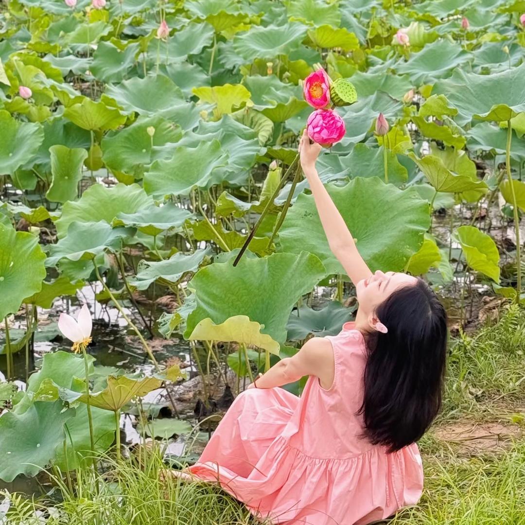 红富士苹果源头果园