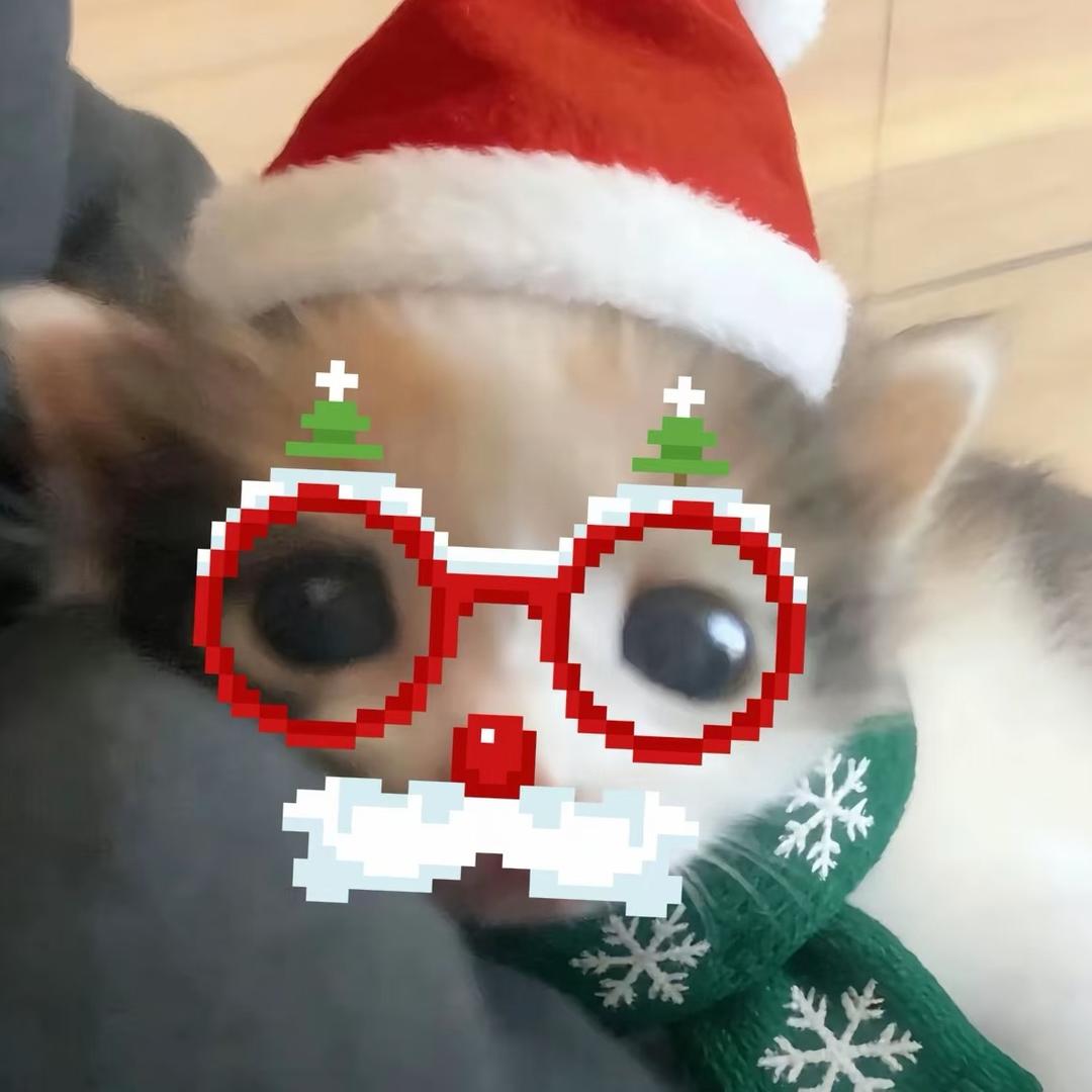 Q蒂