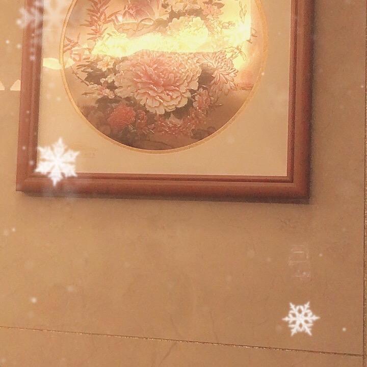 我的心我的马🐎