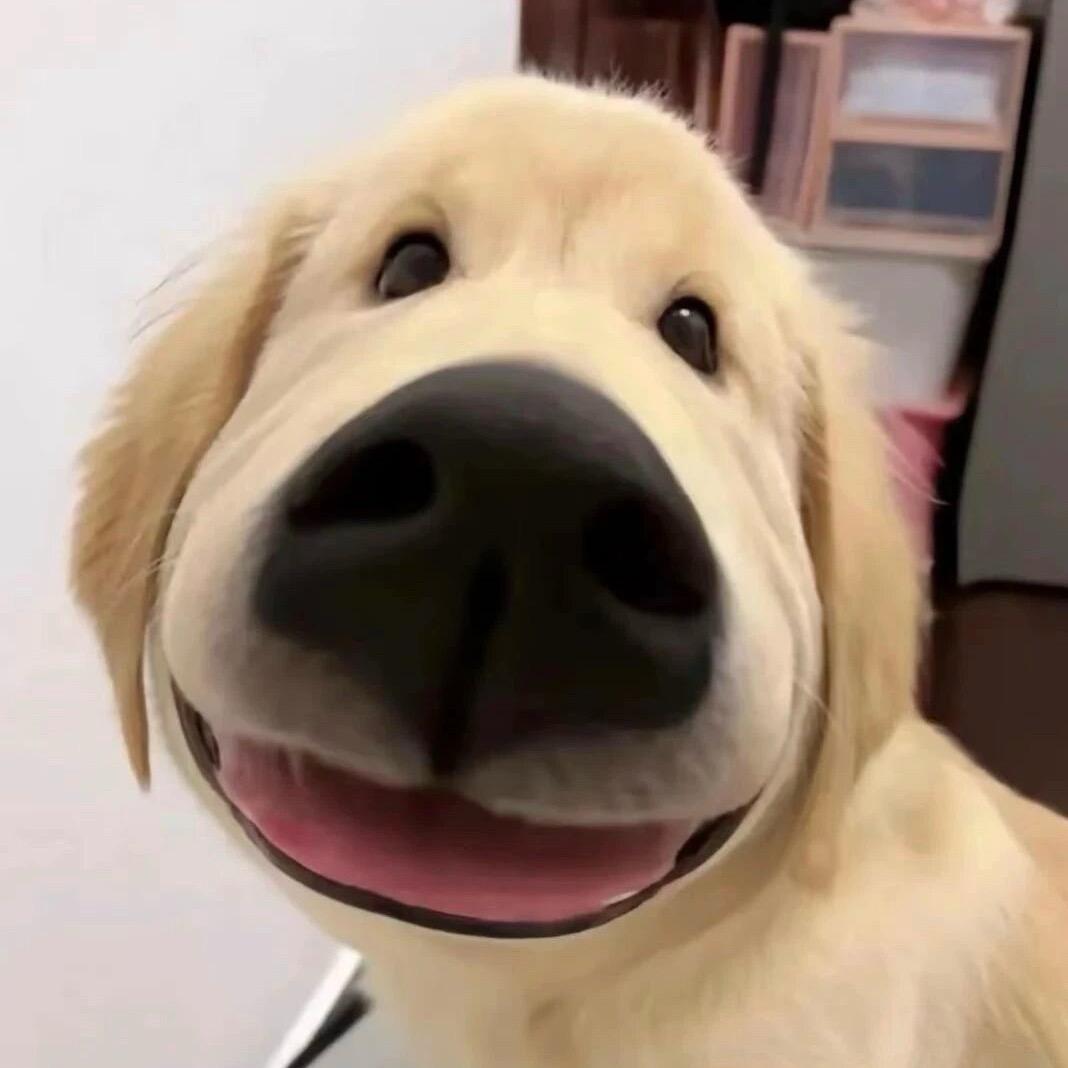 水