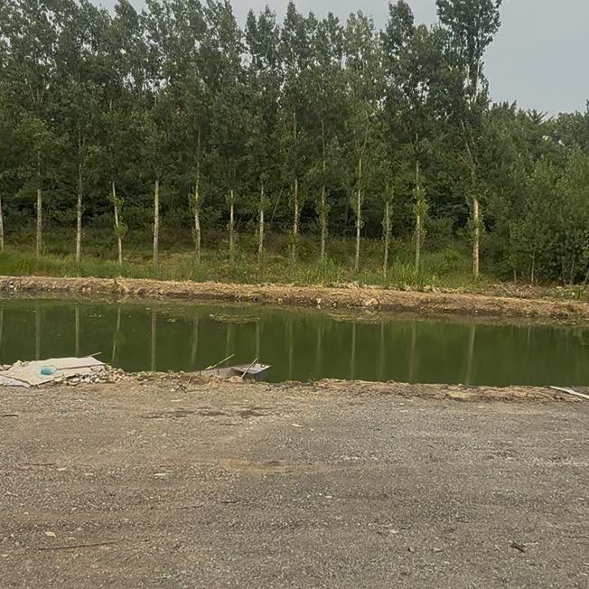 渔乐圈