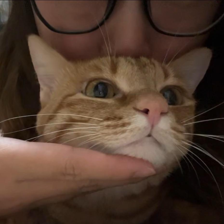 两只猪崽