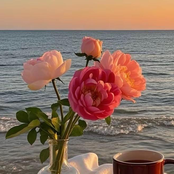 古丽🌹
