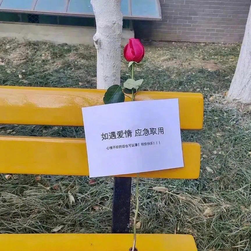 就是开心就是玩