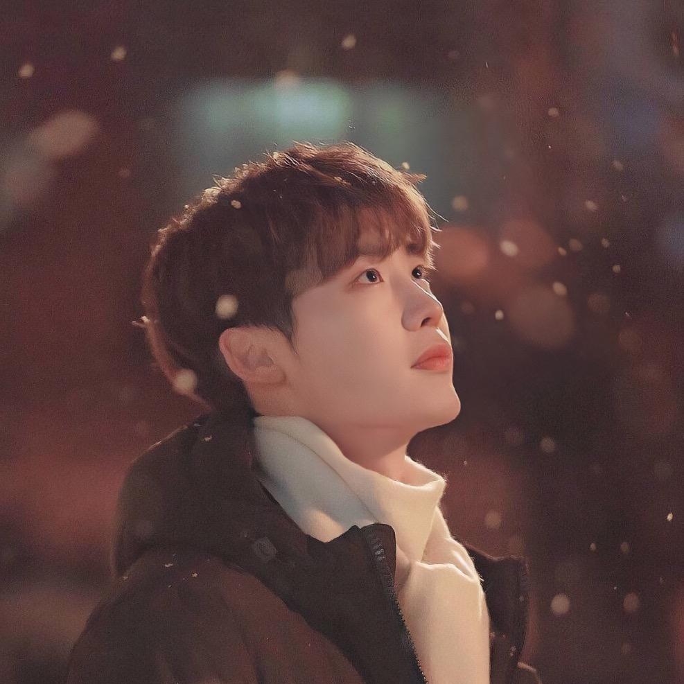 xbear💫