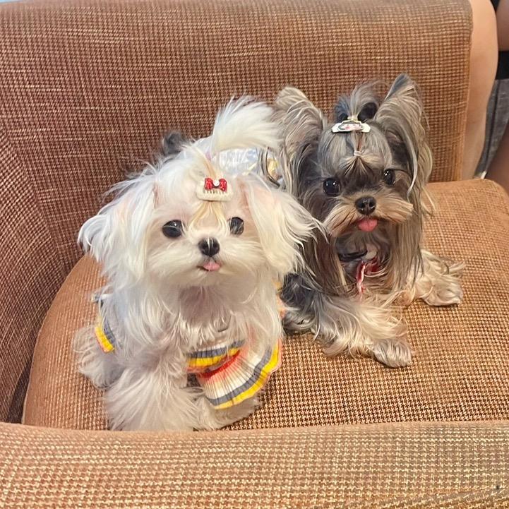 卡卡家族🐶