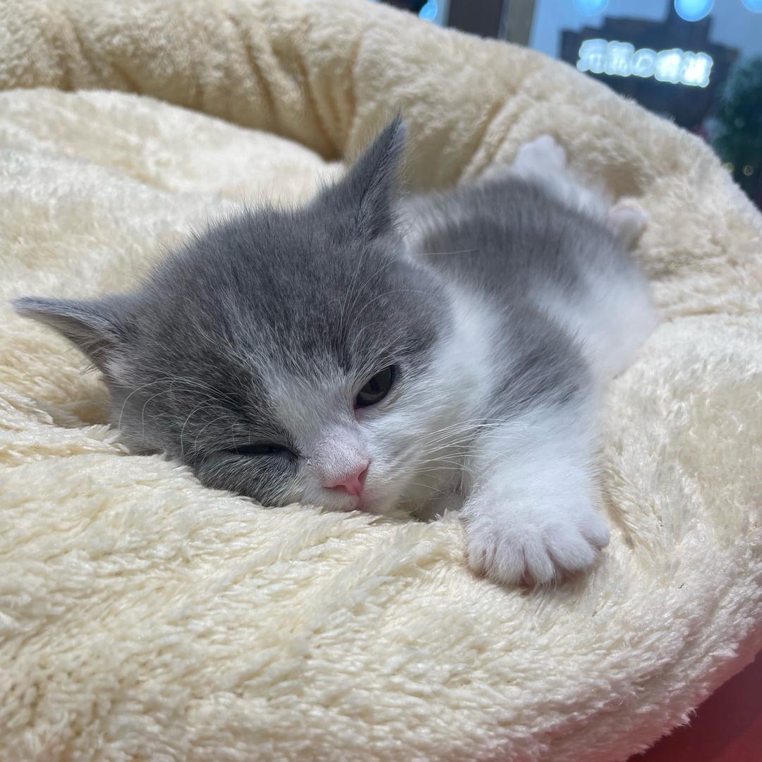 ❤️❤️心心相印