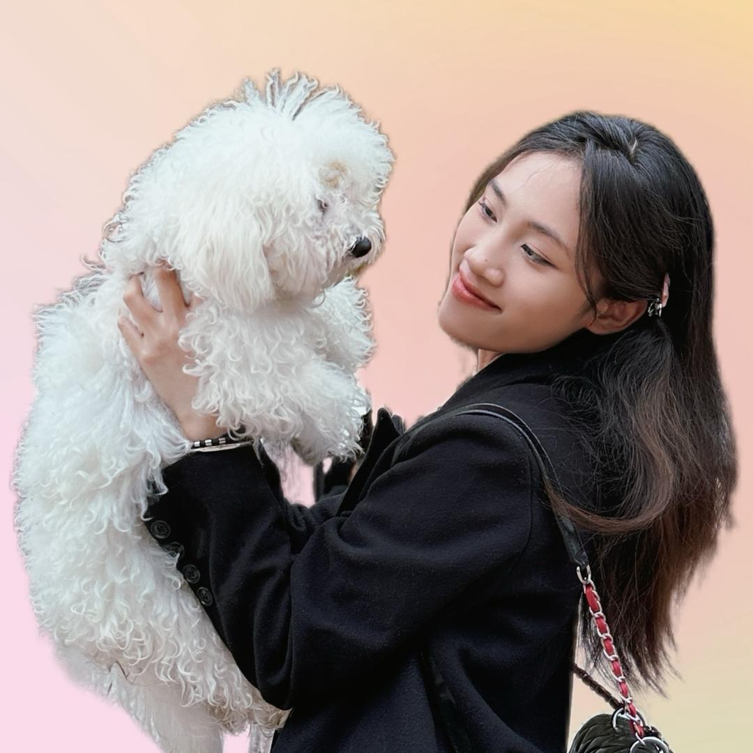 蛋挞小比熊