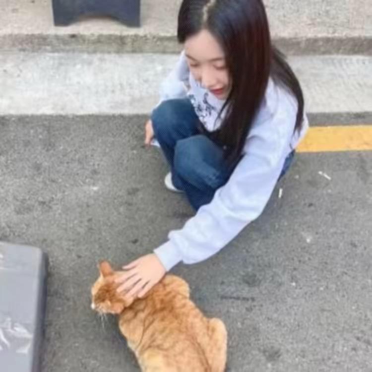 好运滚滚之螺狮粉