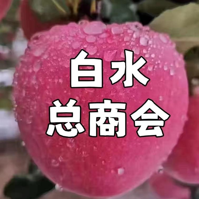 白水商会
