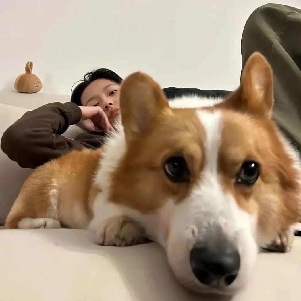 吃掉快乐🔆