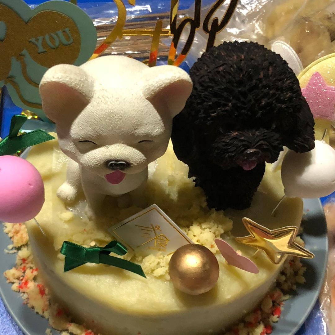 奋斗  加油