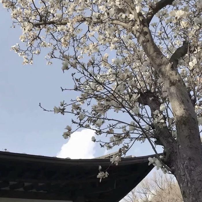 不用谢.