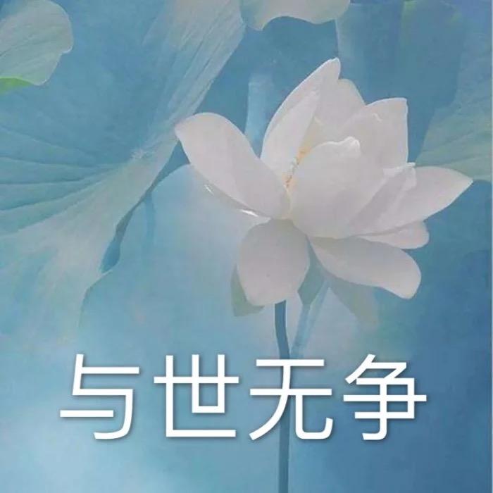小怜