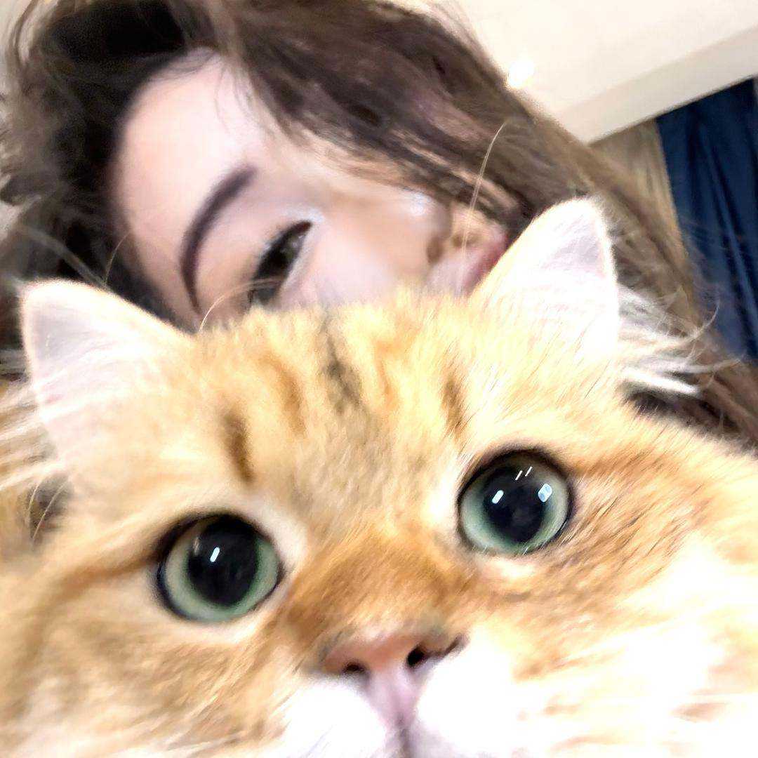 不吃辣条