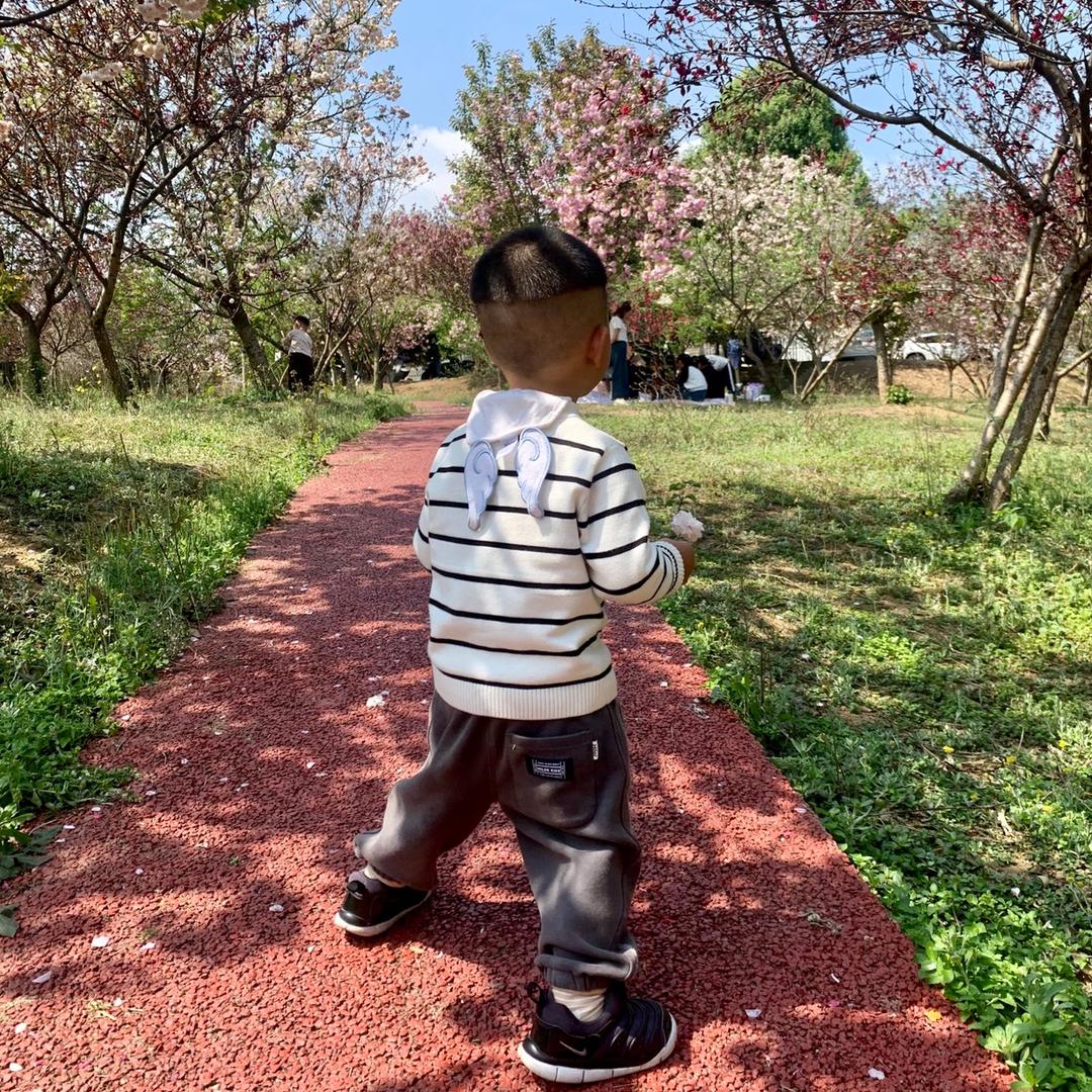 小橙子🍊🍊🍊