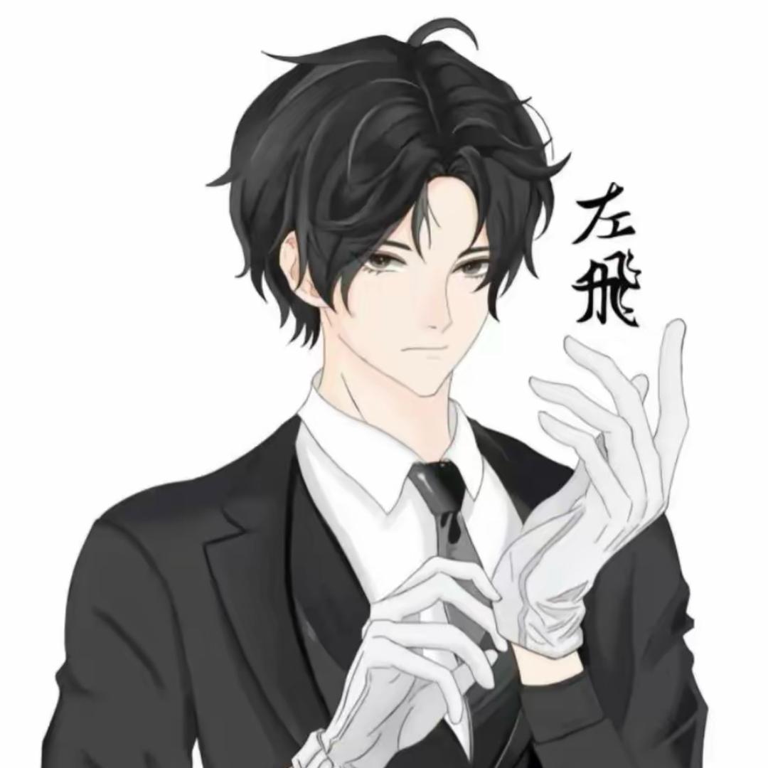 左少帅