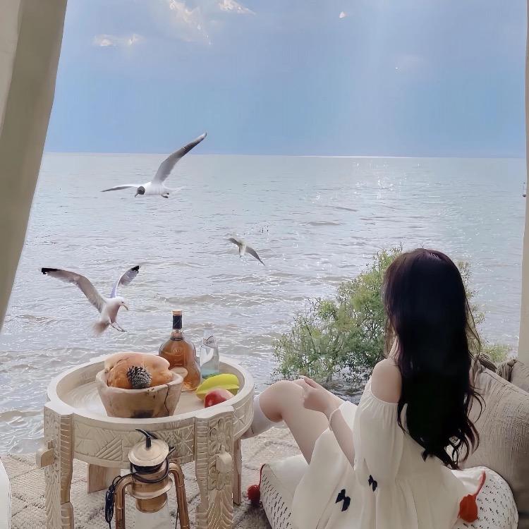 暘哥好物分享的头像