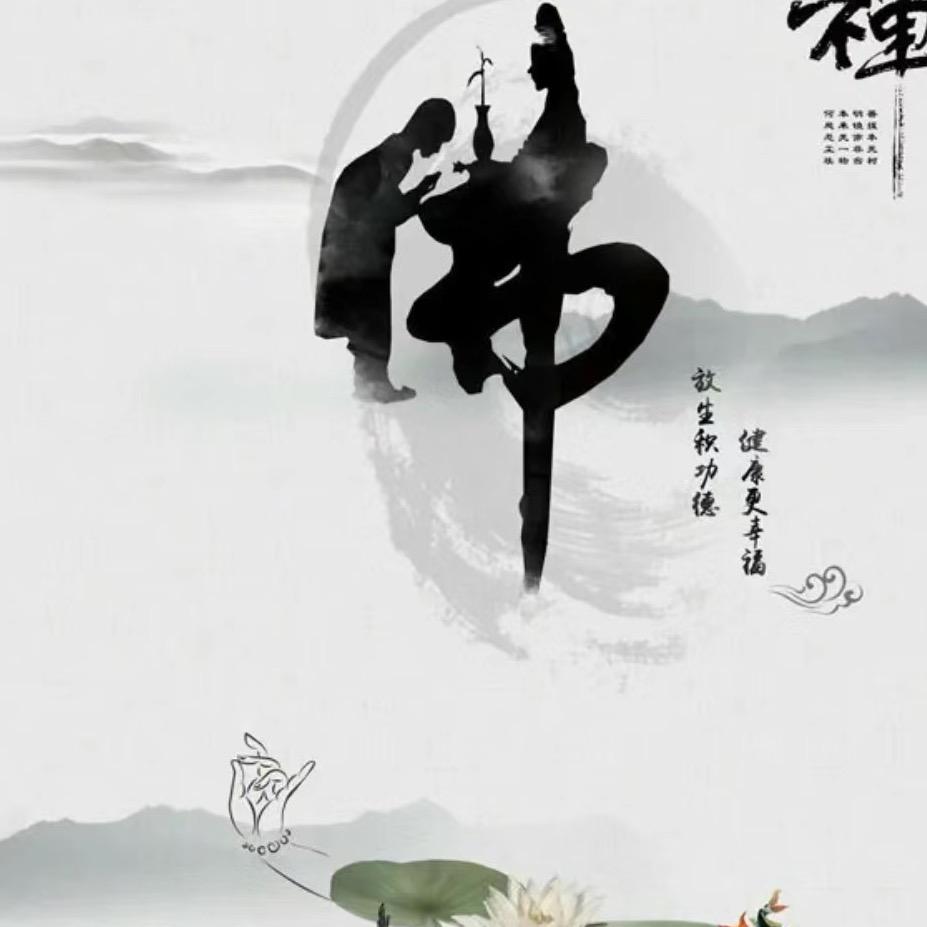 禅修先生