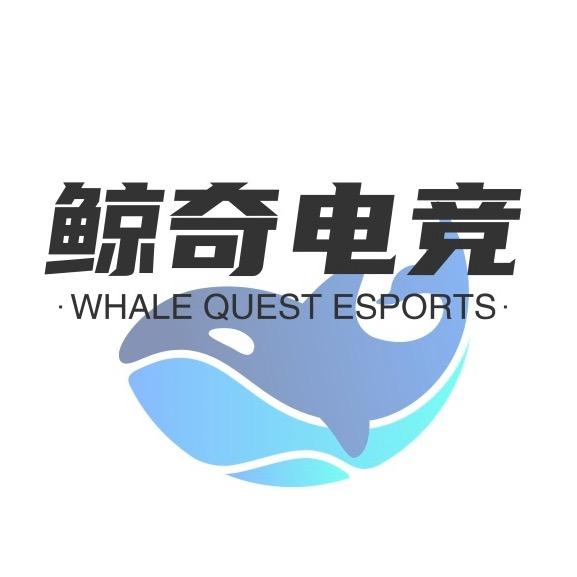 鲸奇电竞网咖