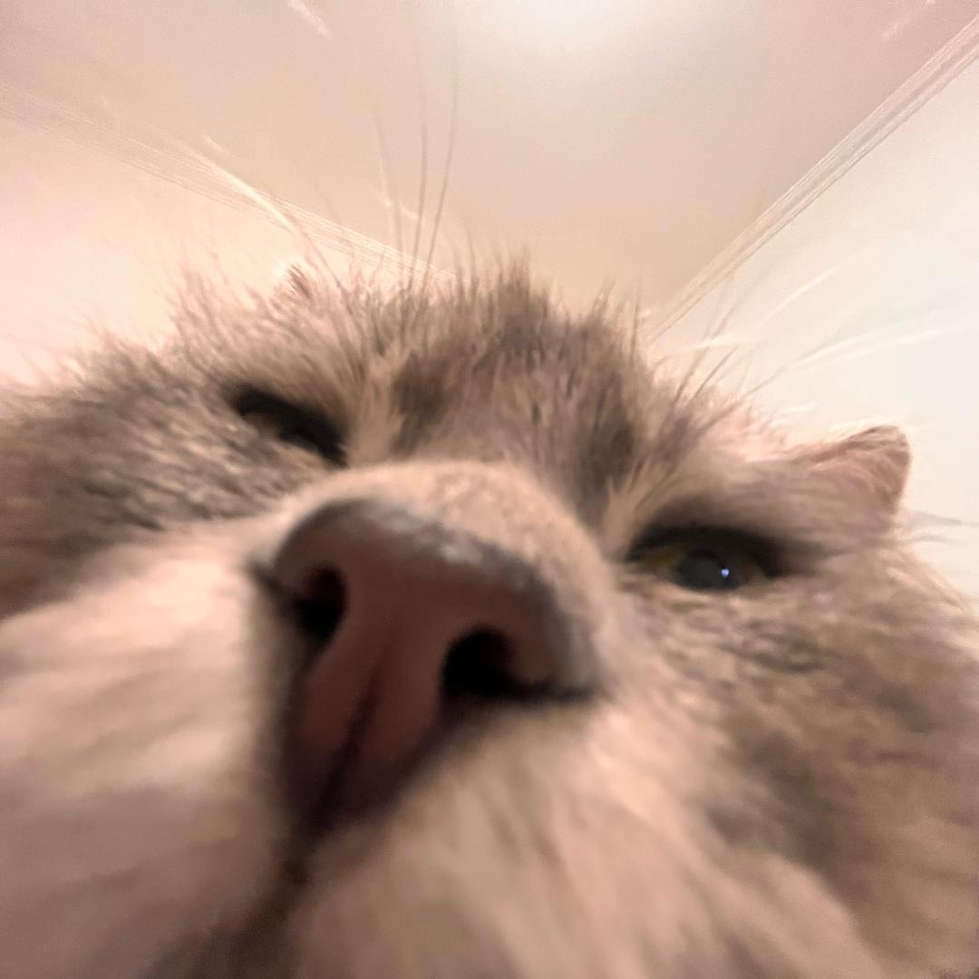 性感推💩爬