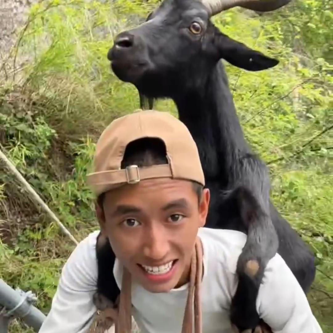 阿红