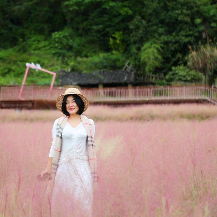 洪姐姐 （橱窗营业中）