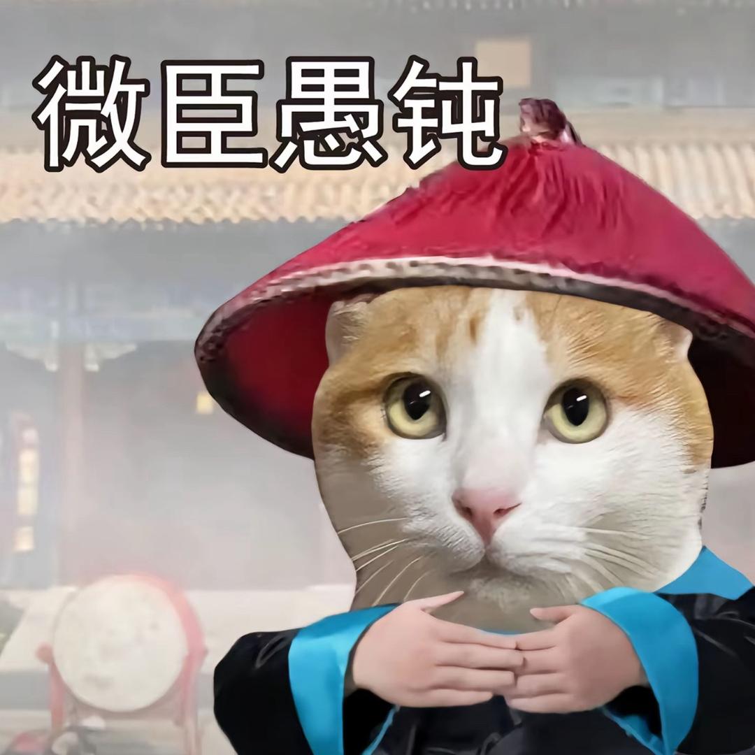 斗魂无敌弟弟