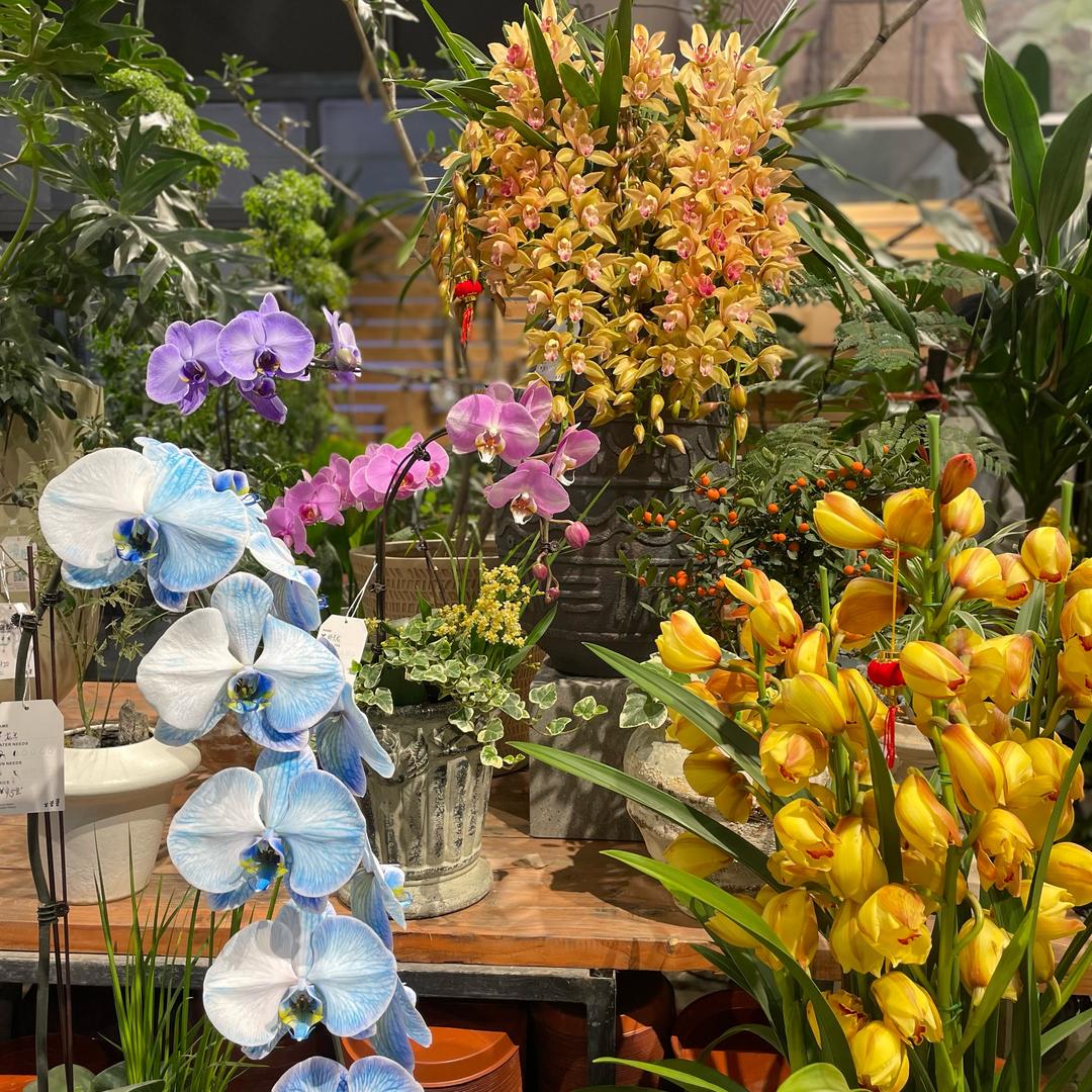 想做学霸的学渣