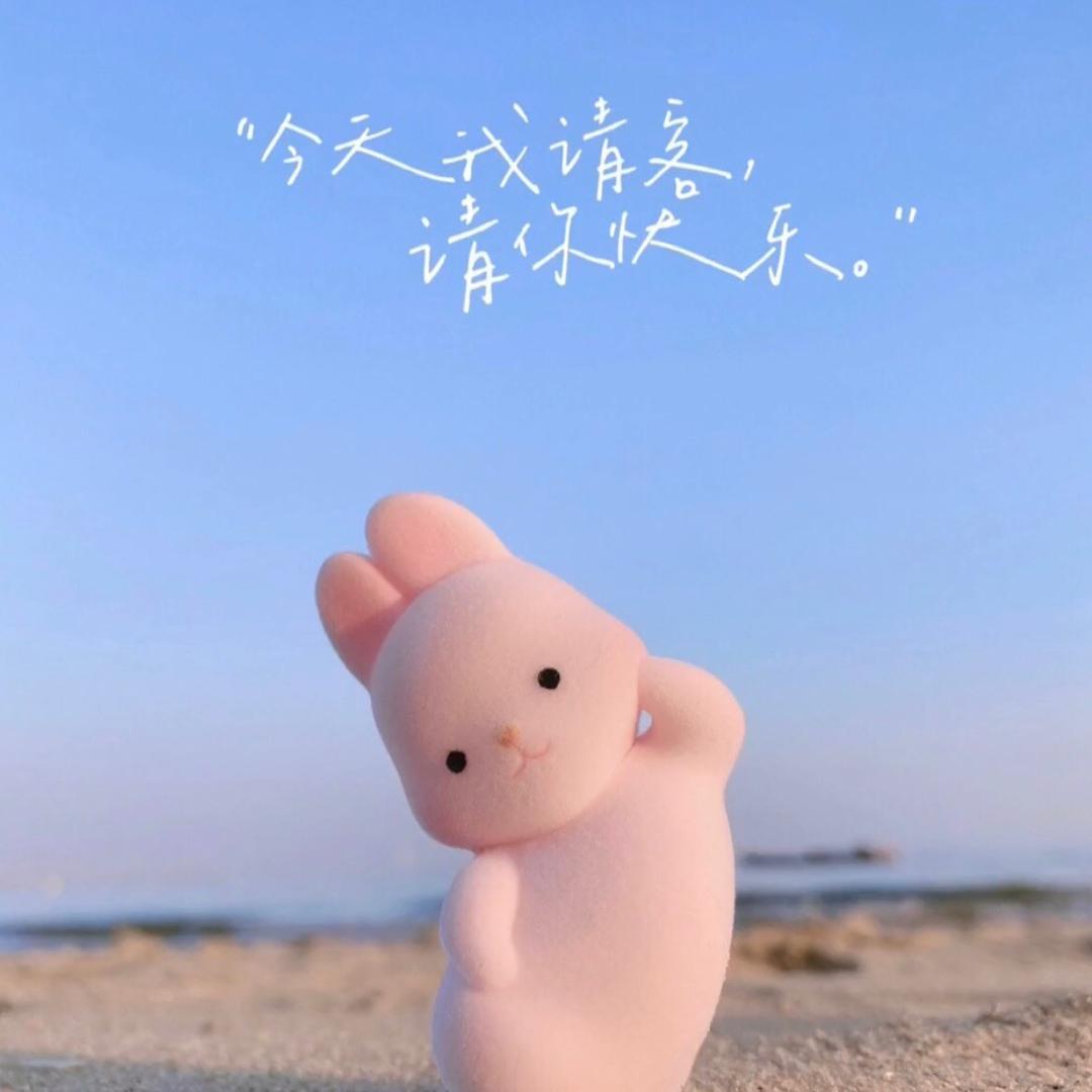 🌸岁月静好🌸