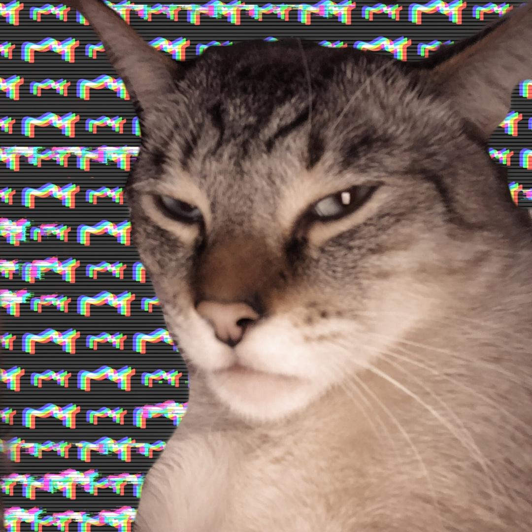 毛毛的奇幻旅程🦋