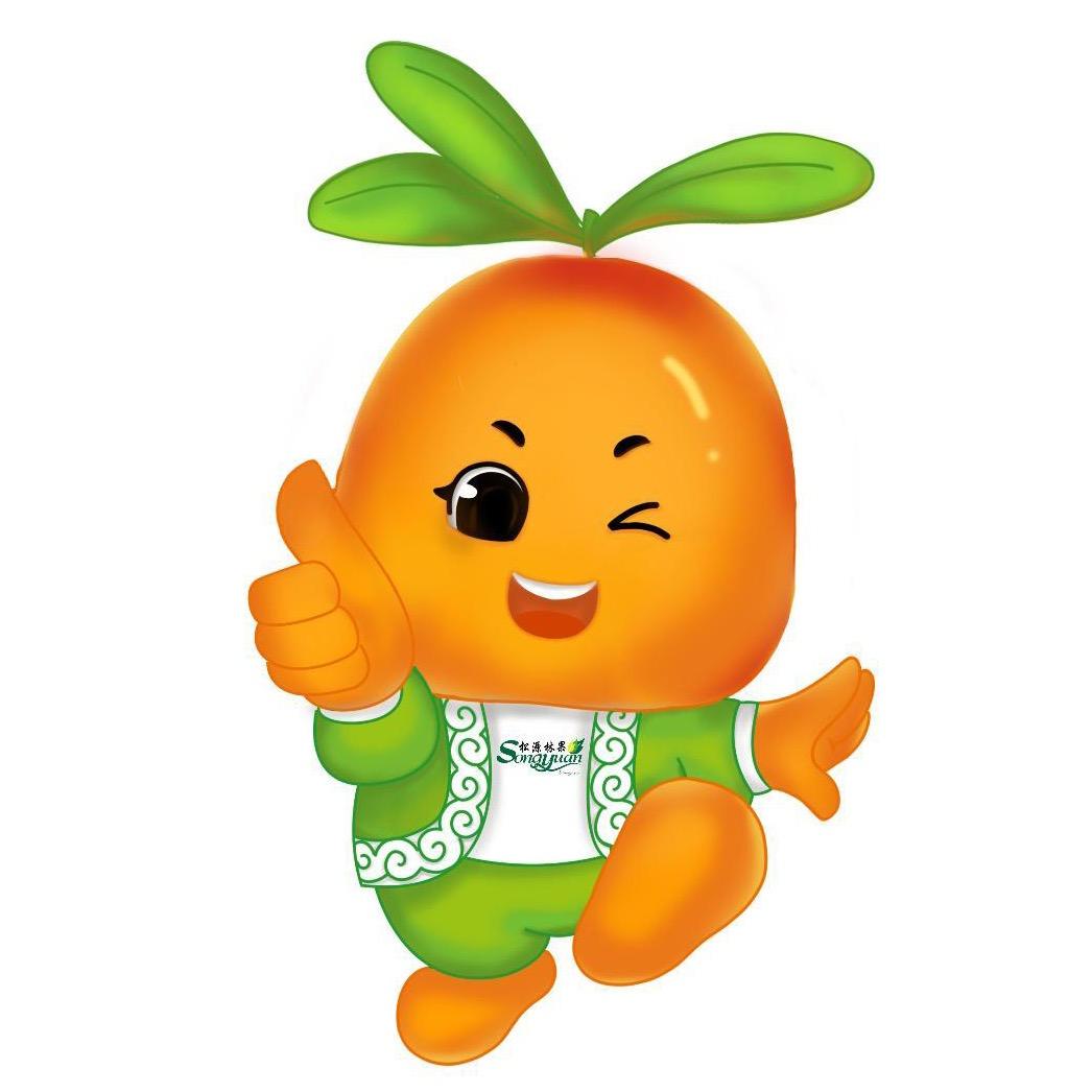 松源优选
