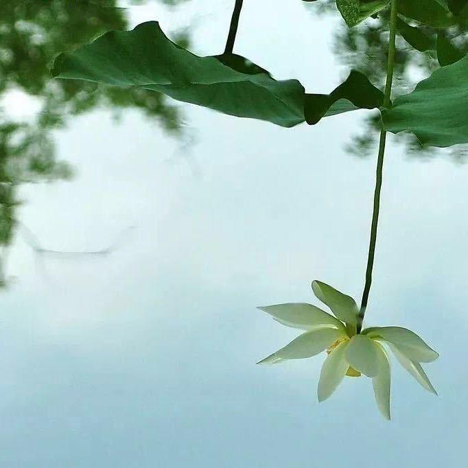 极简生活