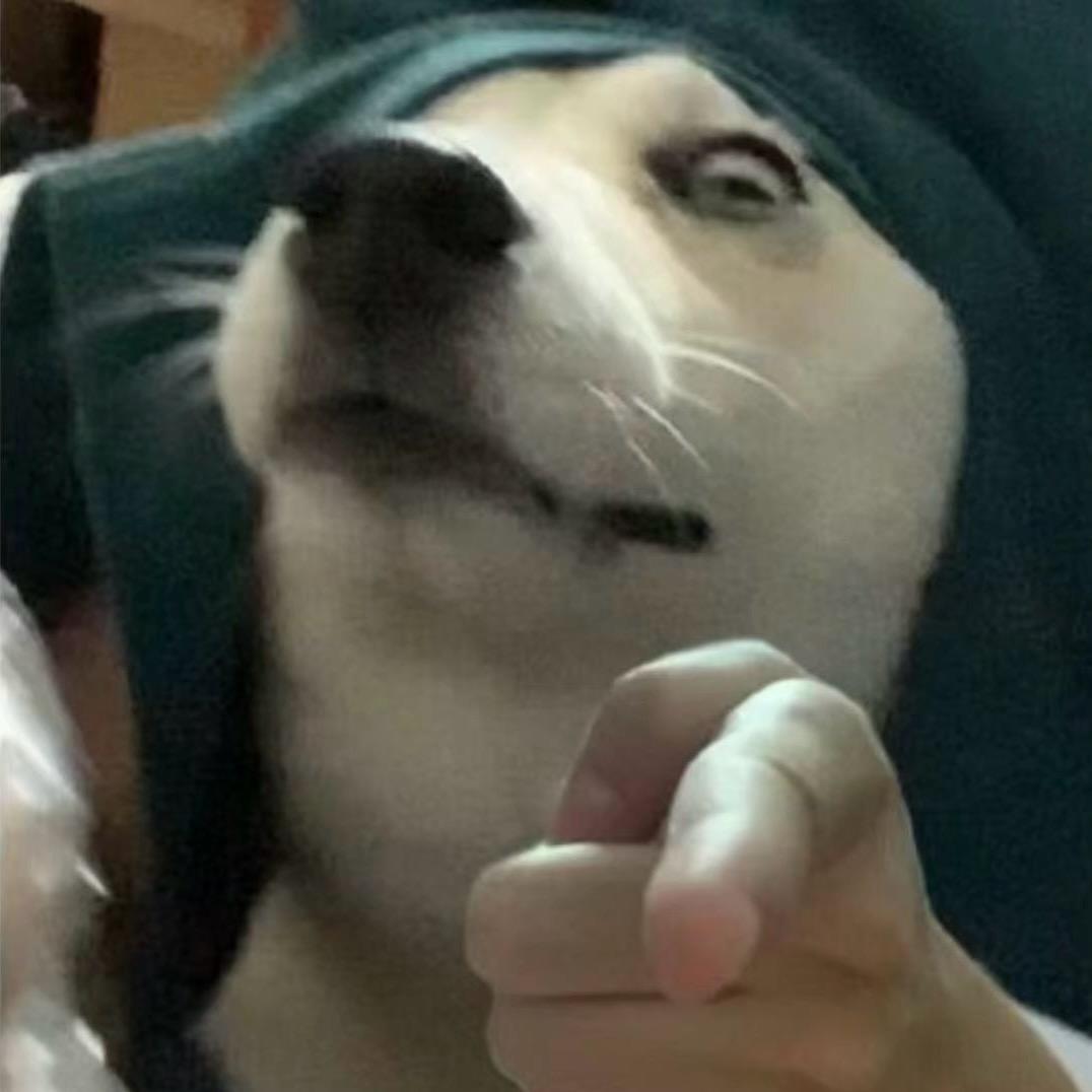 哈士欢
