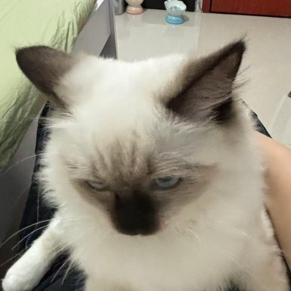 🌈 地球老好人🍑