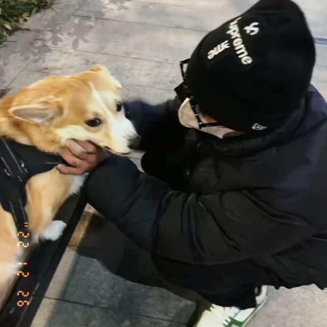 知世-