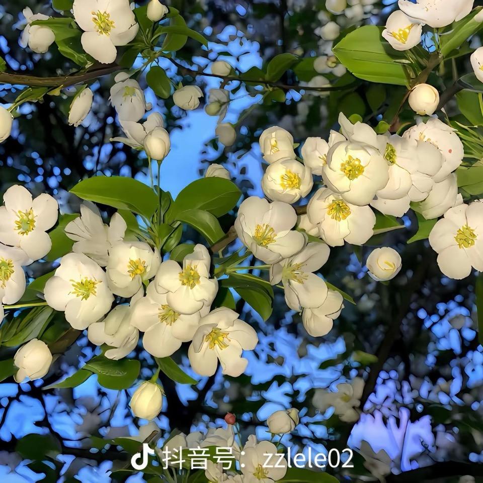 落泪